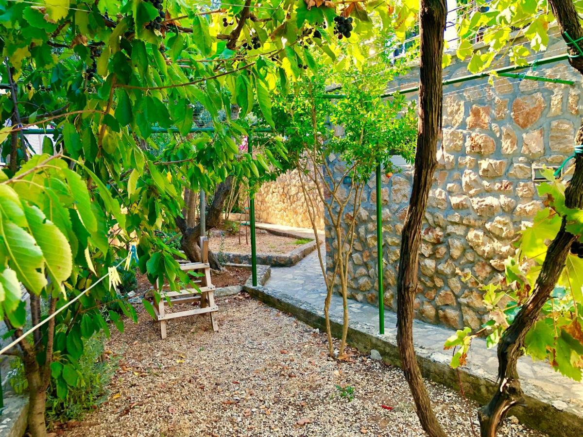 Villa Dinastija 칼리 외부 사진